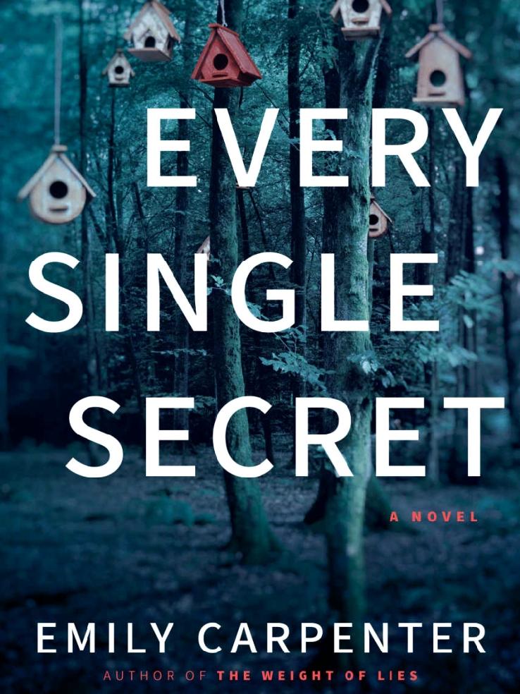 Every Single Secret Carpenter Emily