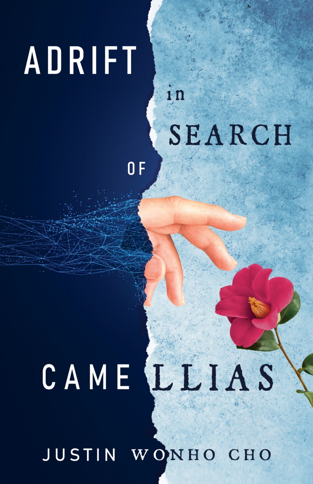 Adrift In Search Of Camellias Justin Wonho Cho