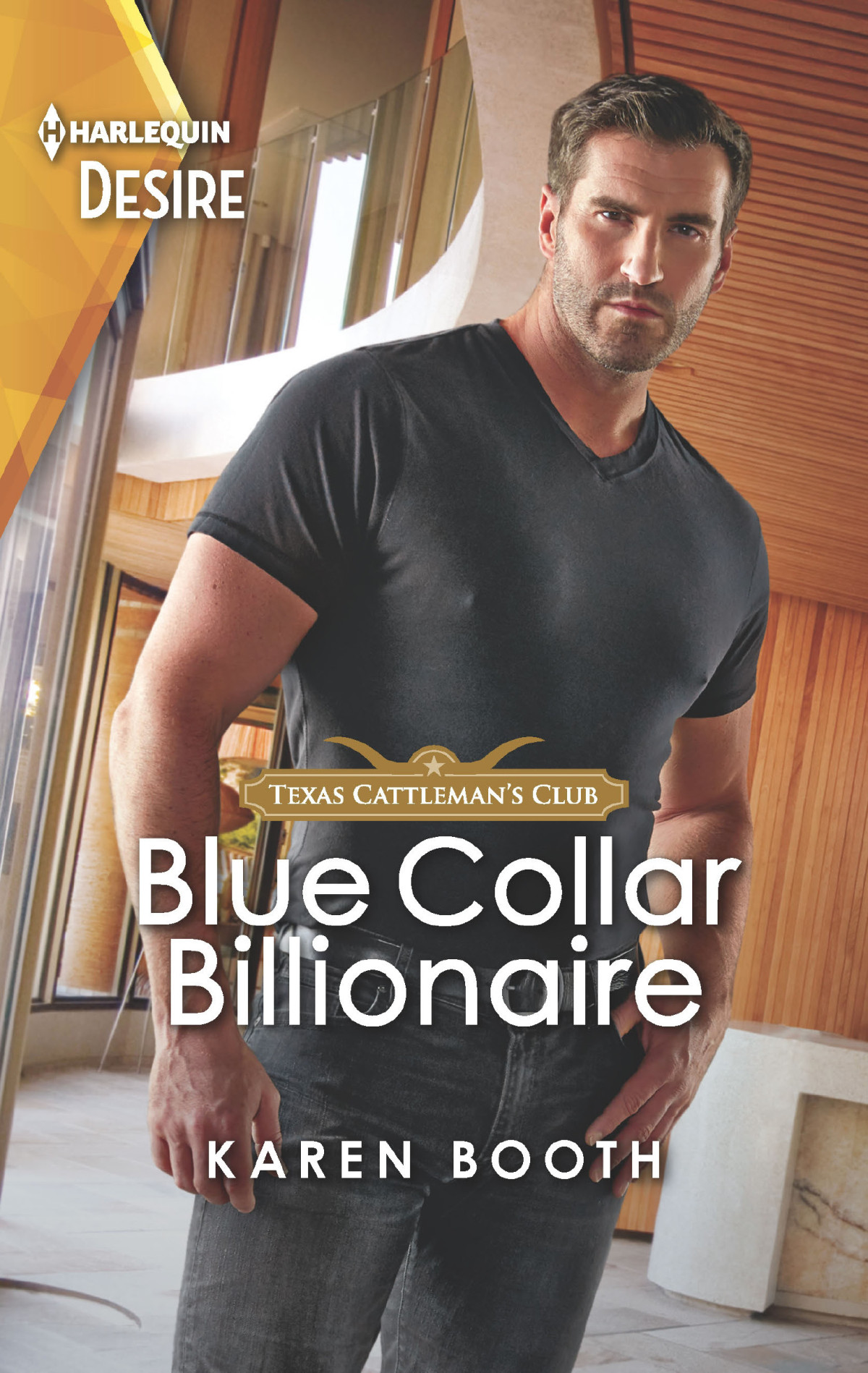 Blue Collar Billionairea Pretend Boyfriend Romance Karen Booth