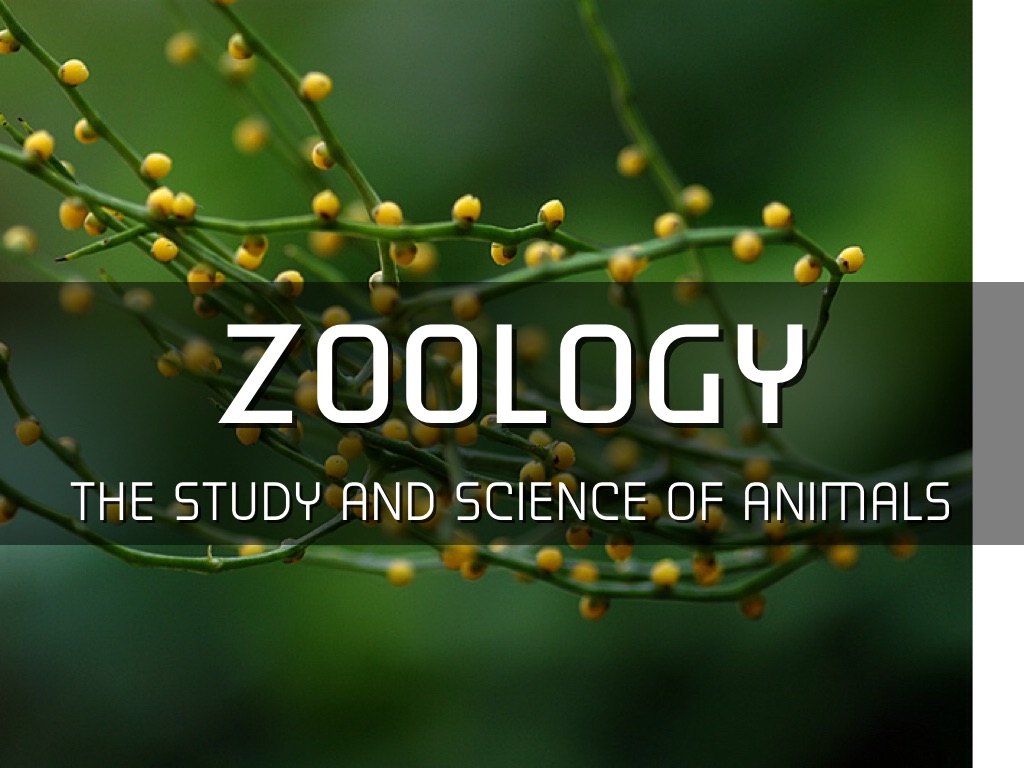 An Introduction To Economic Zoology 1st Edition Kalim Ullah