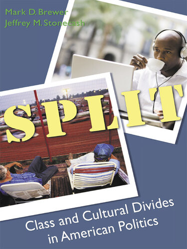 Split Class And Cultural Divides In American Politics Mark D Brewer