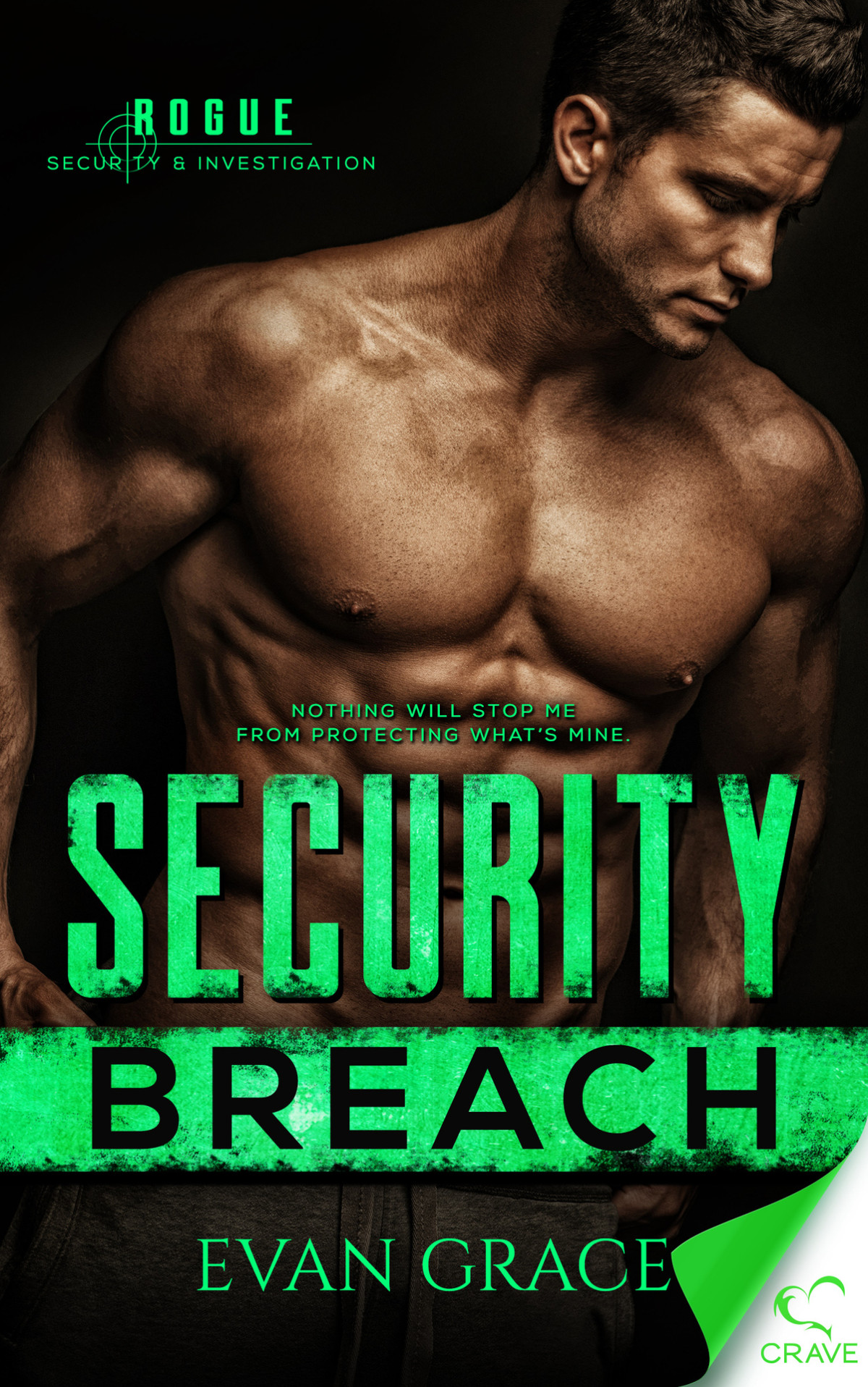 Security Breach Rogue Security And Investigation Book 1 Grace