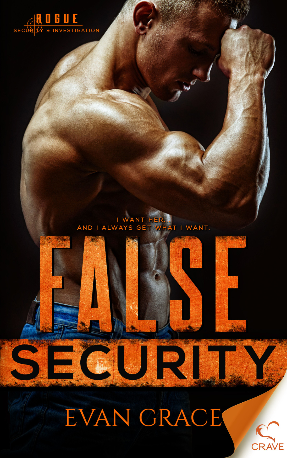 False Security Rogue Security And Investigation Book 2 Grace
