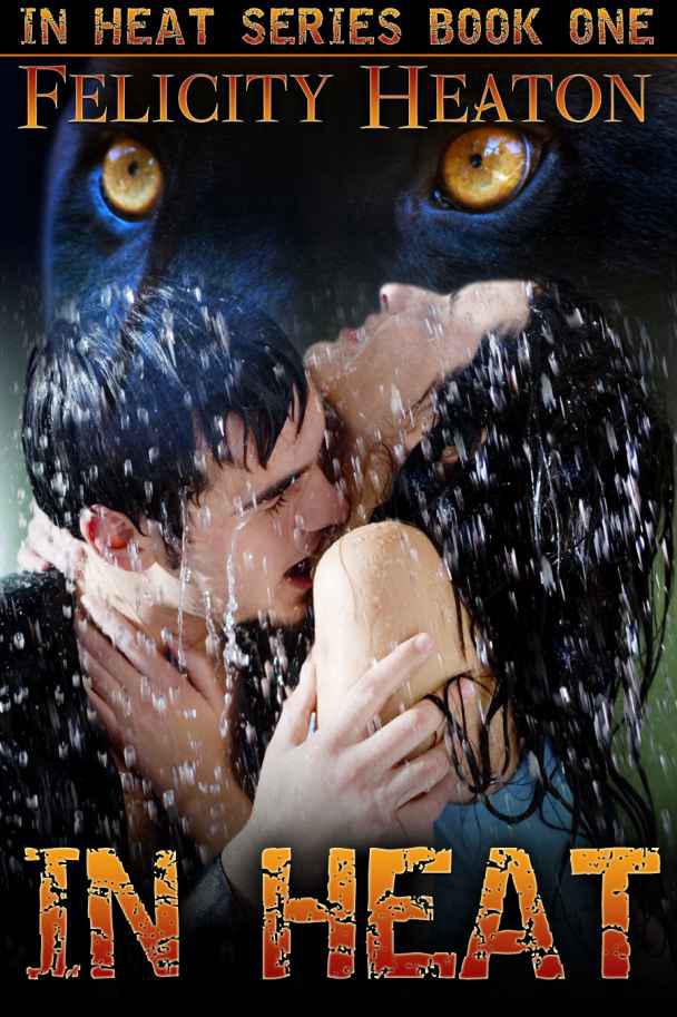 In Heat In Heat Shapeshifter Romance Series 1 Felicity Heaton