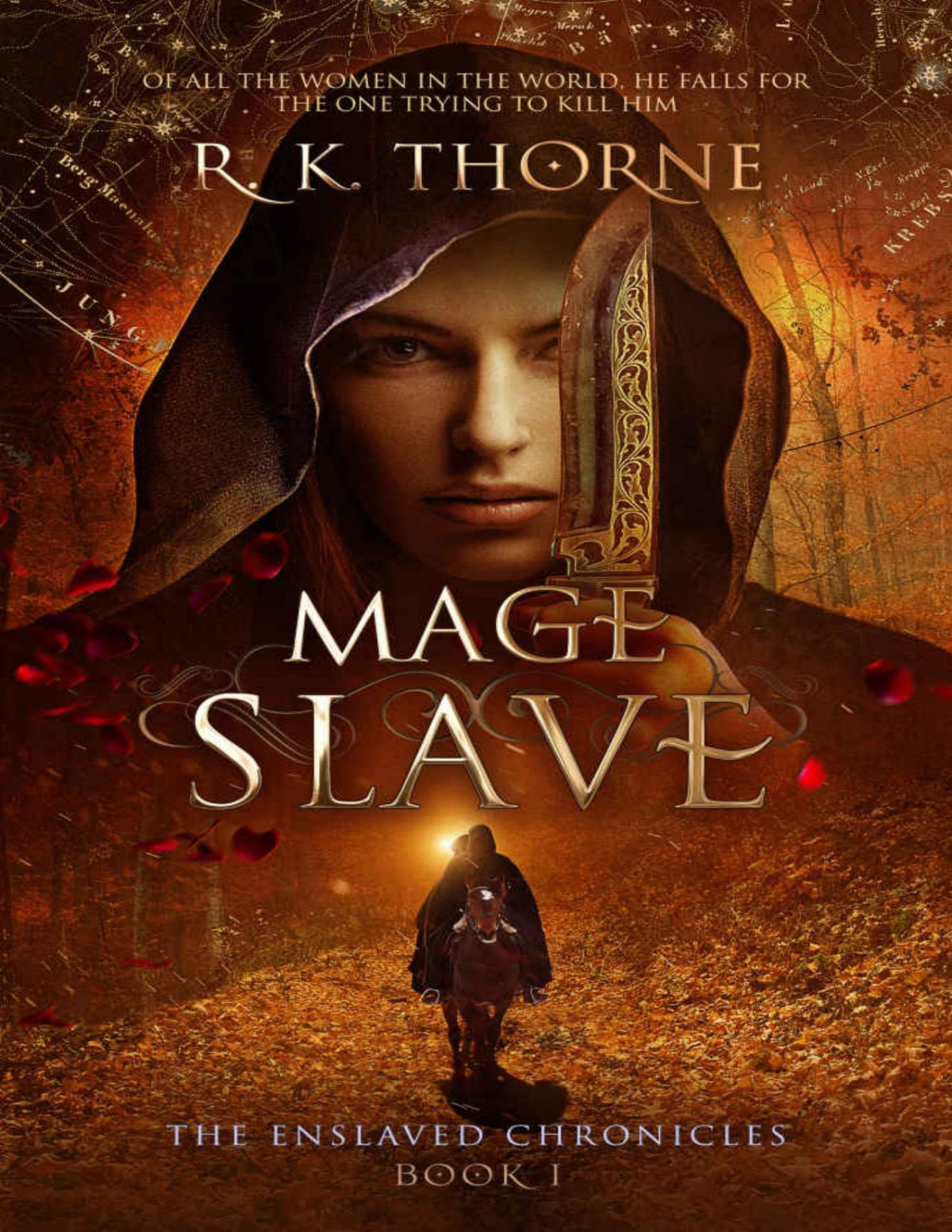 Mage Slave The Enslaved Chronicles Book 1 R K Thorne