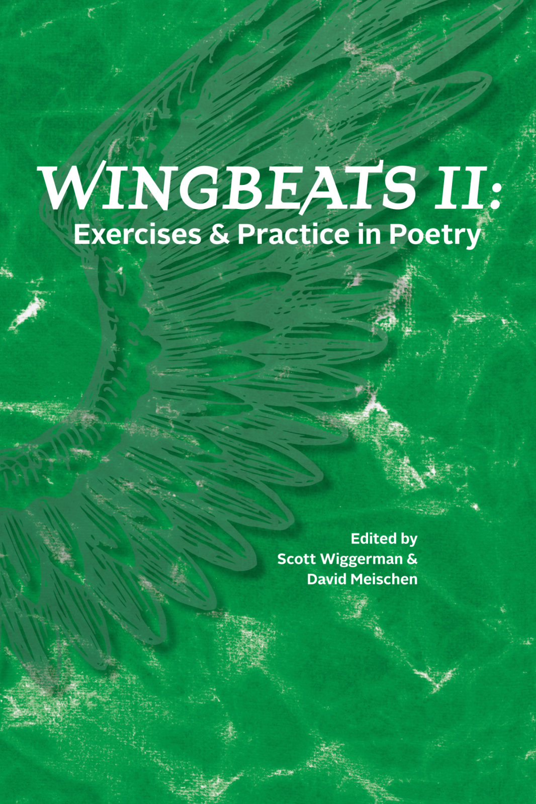 Wingbeats Ii 1st Edition Scott Wiggerman David Meischen