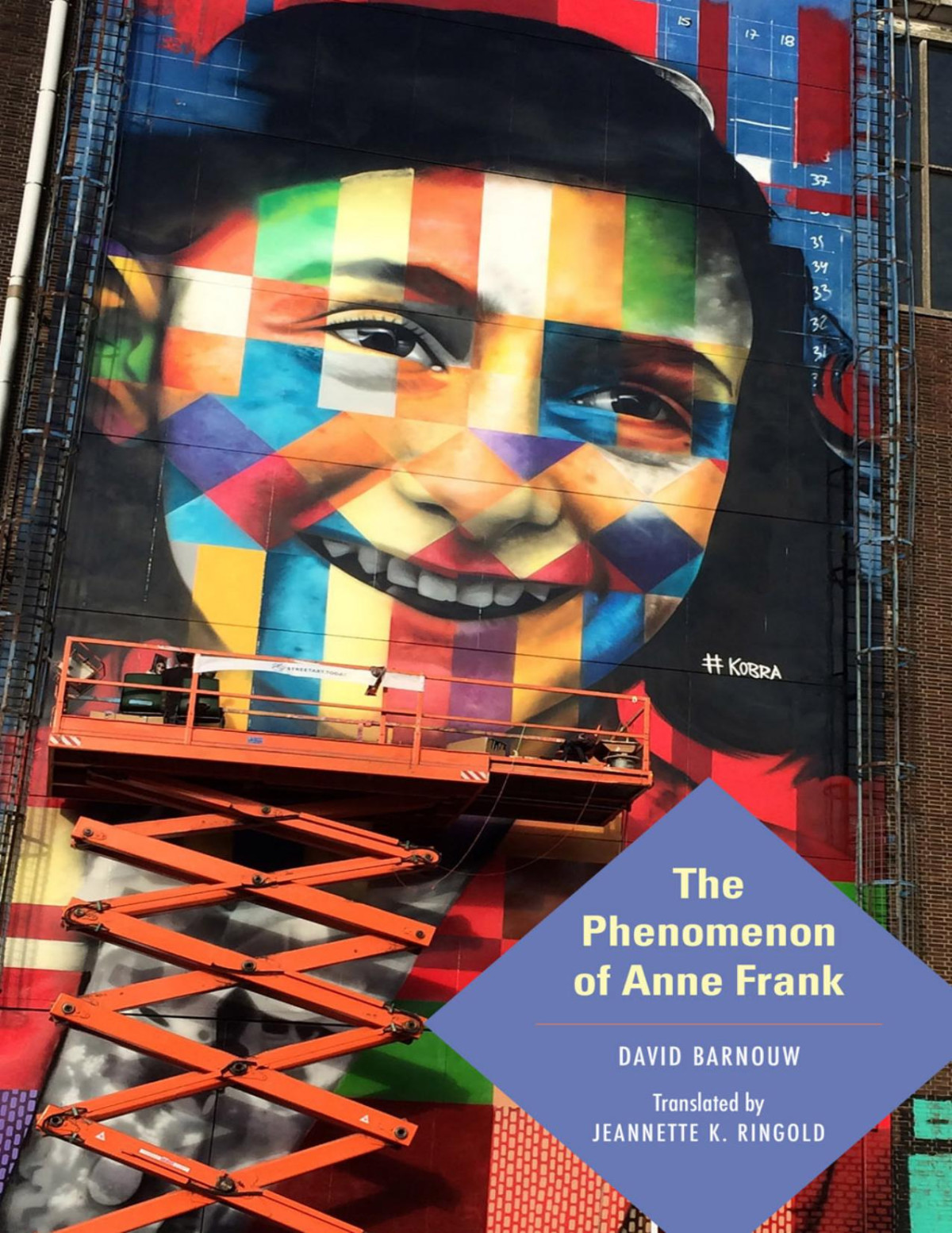 The Phenomenon Of Anne Frank David Barnouw