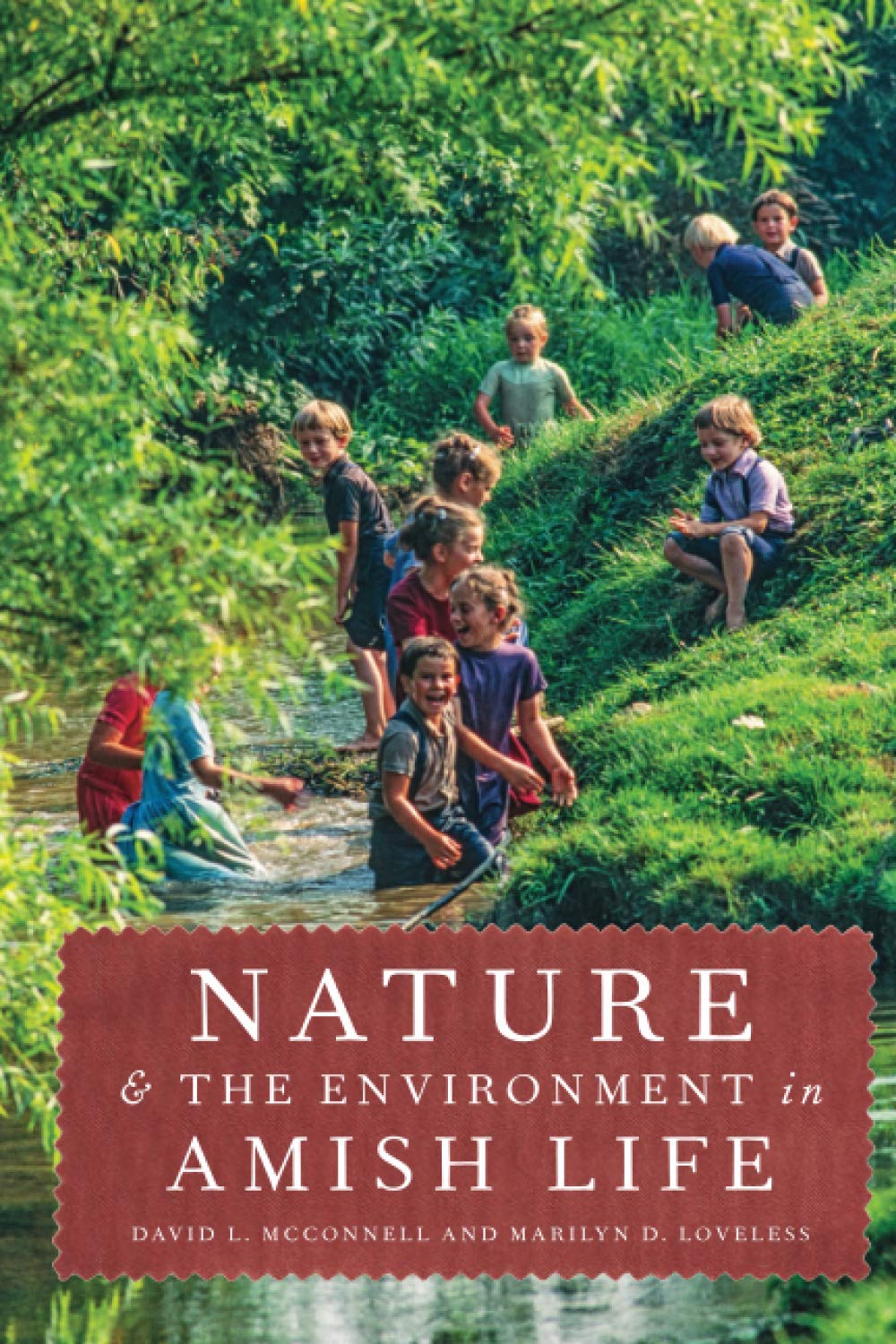 Nature And The Environment In Amish Life Illustrated David L Mcconnell