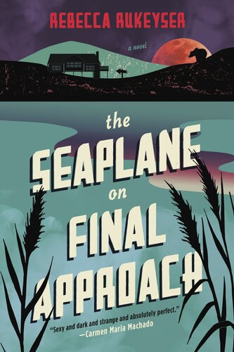 The Seaplane On Final Approach Rebecca Rukeyser
