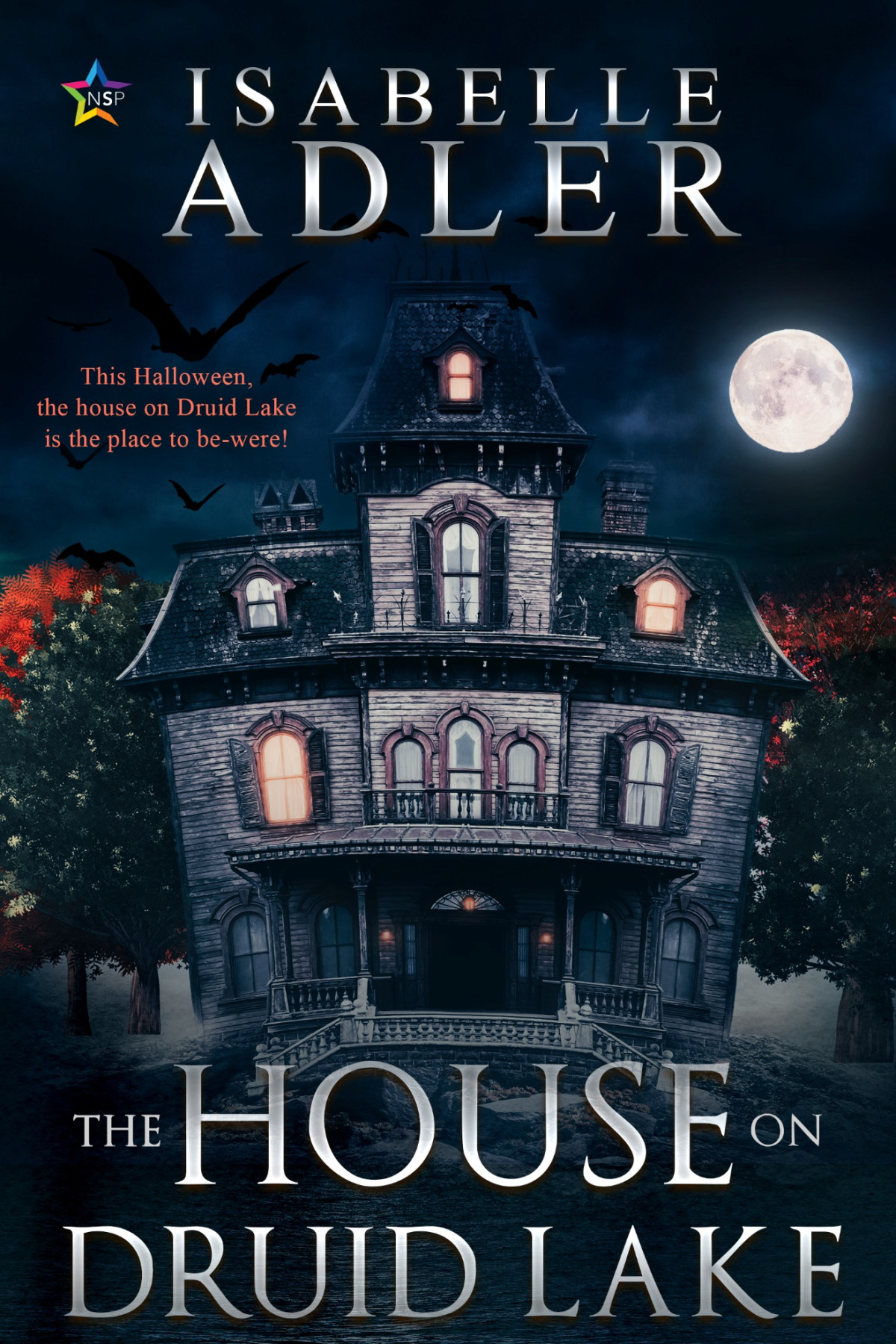 The House On Druid Lake Isabelle Adler