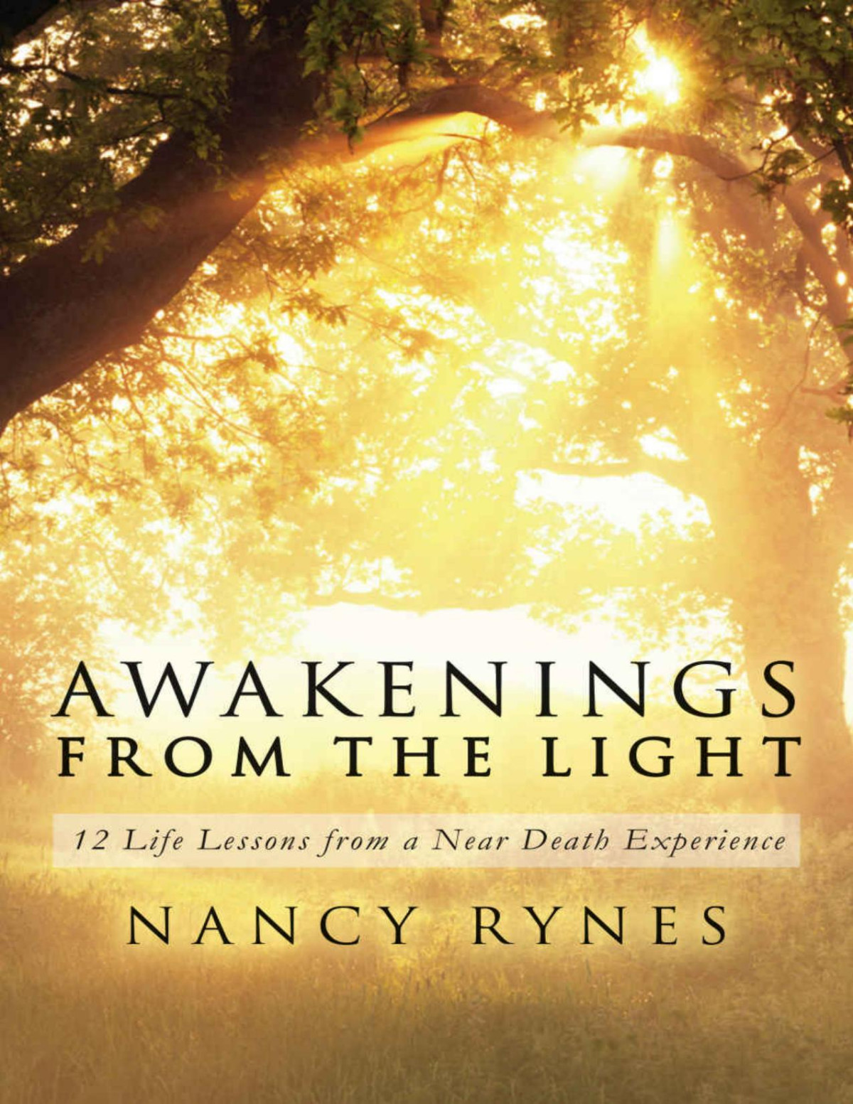 Awakenings From The Light 12 Life Lessons From A Near Death Experience Nancy Rynes