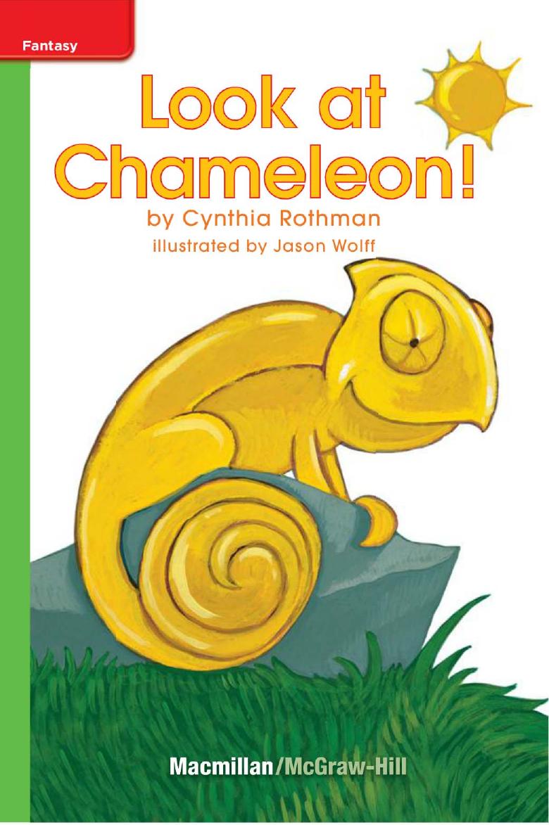 Look At Chameleon Cynthia Rothman