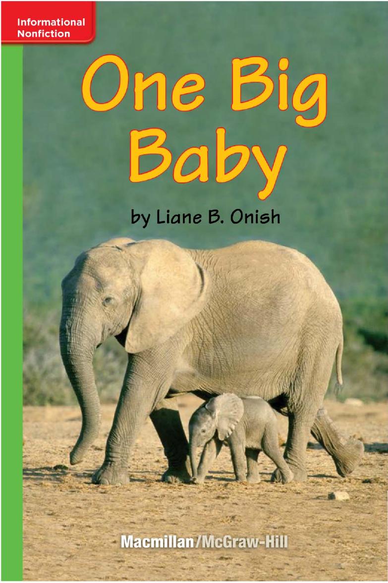 One Big Baby Liane B Onish