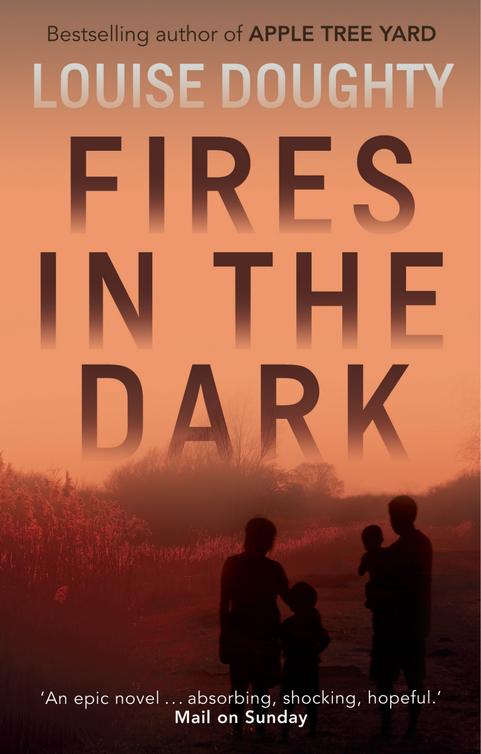 Fires In The Dark Doughty Louise