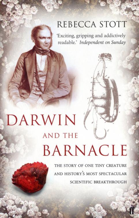 Darwin And The Barnacle Stott Rebecca