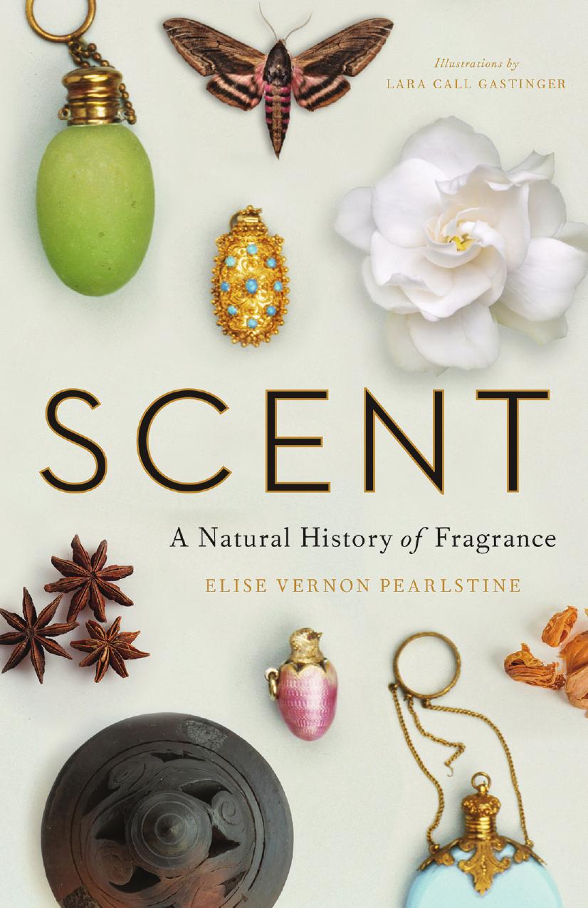 Scent A Natural History Of Fragrance Elise Vernon Pearlstine