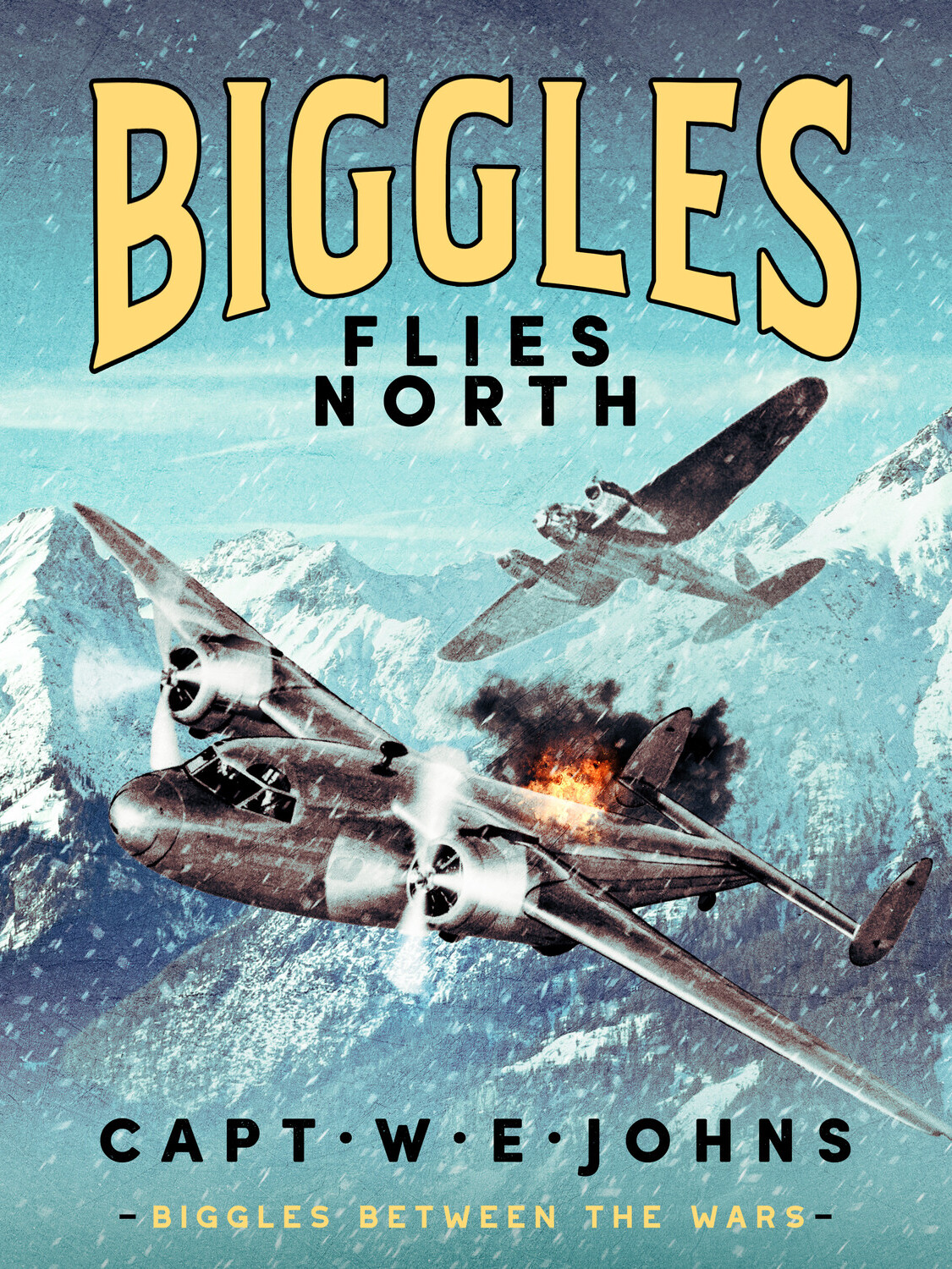 Biggles Flies North Captain W E Johns
