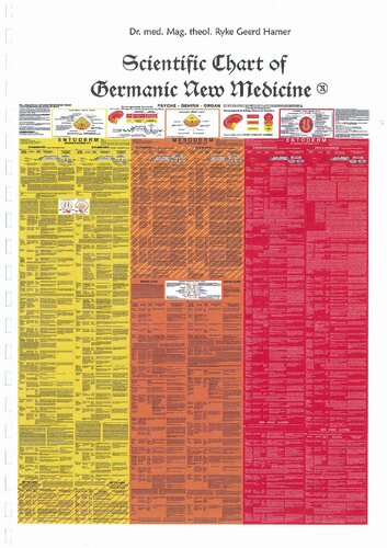 German New Medicine Correlations Between The Three Embryonic Germ Layers And Significant Biological Special Programs Sbs Of Nature On The Three Levels Psyche Brain Organ Dr Ryke Geerd Hamer