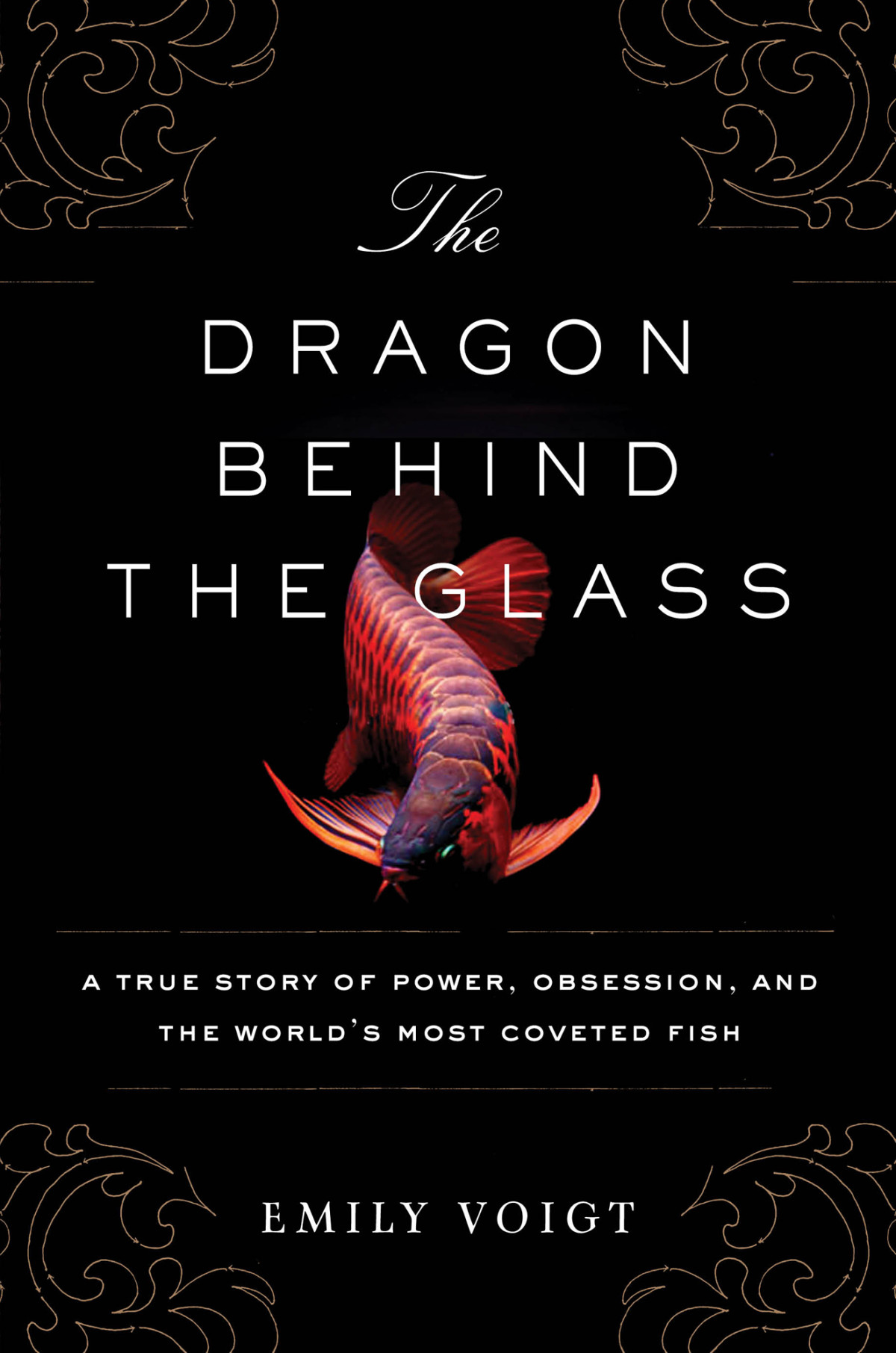 The Dragon Behind The Glass Voigt Emily
