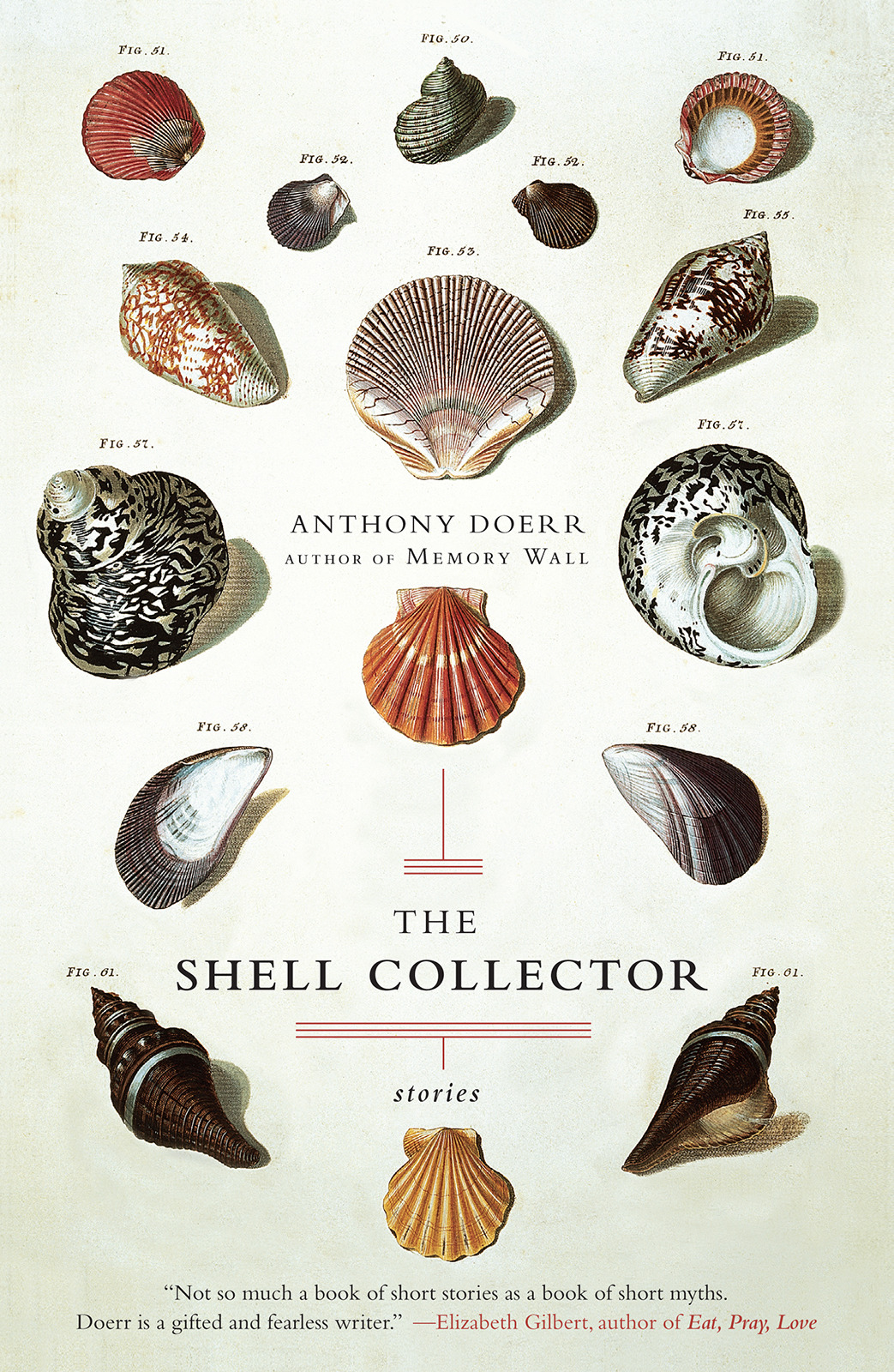 The Shell Collector Doerr Anthony