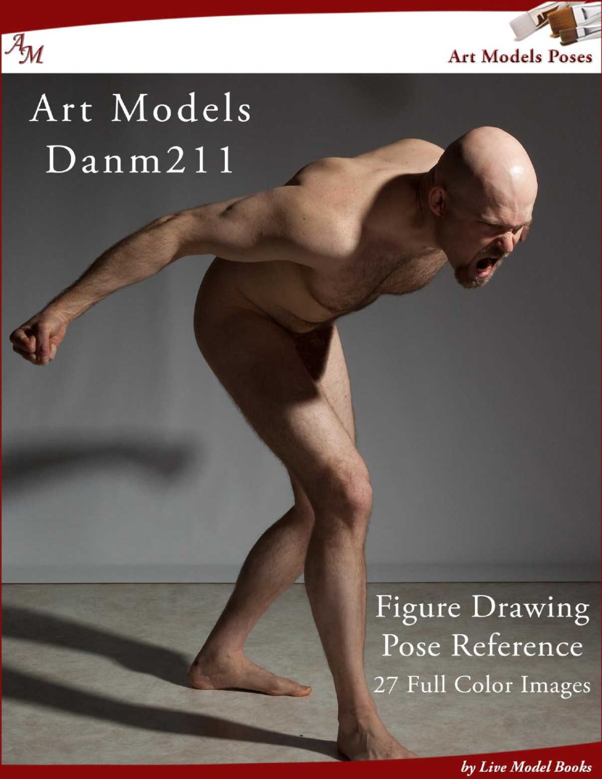 Art Models Danm211 Douglas Johnson