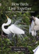 How Birds Live Together Colonies And Communities In The Avian World Marianne Taylor