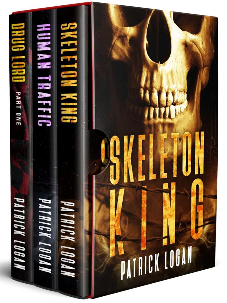 Detective Damien Drake Box Set 0406 Logan Patrick