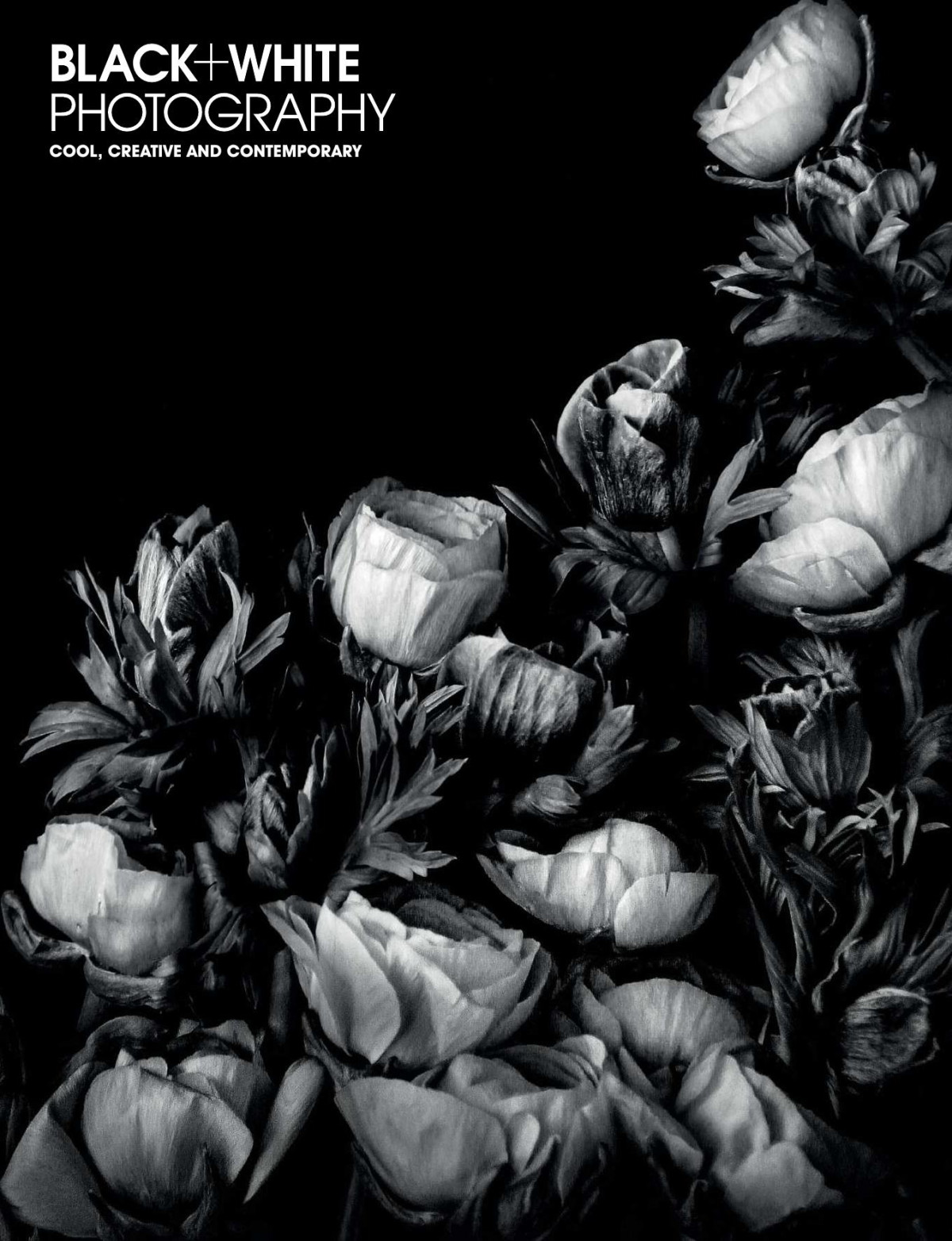 Black White Photography Issue 251 April 2021 Mark Bentley Editor In Chief