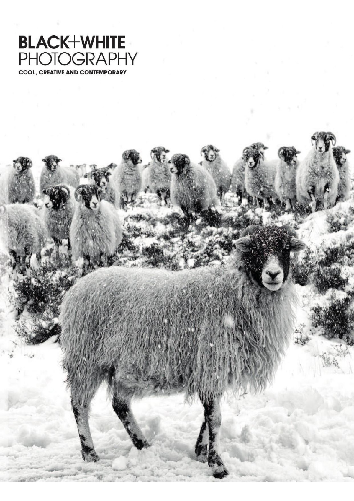 Black White Photography Issue 248 January 2021 Dean Brierly Editor In Chief