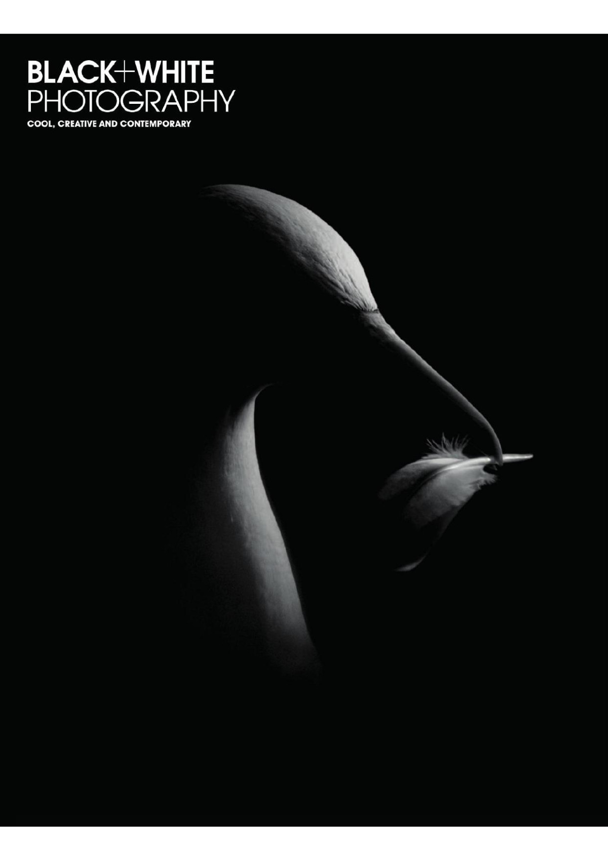 Black White Photography Issue 258 October 2021 Mark Bentley Editor In Chief Editor In Chief