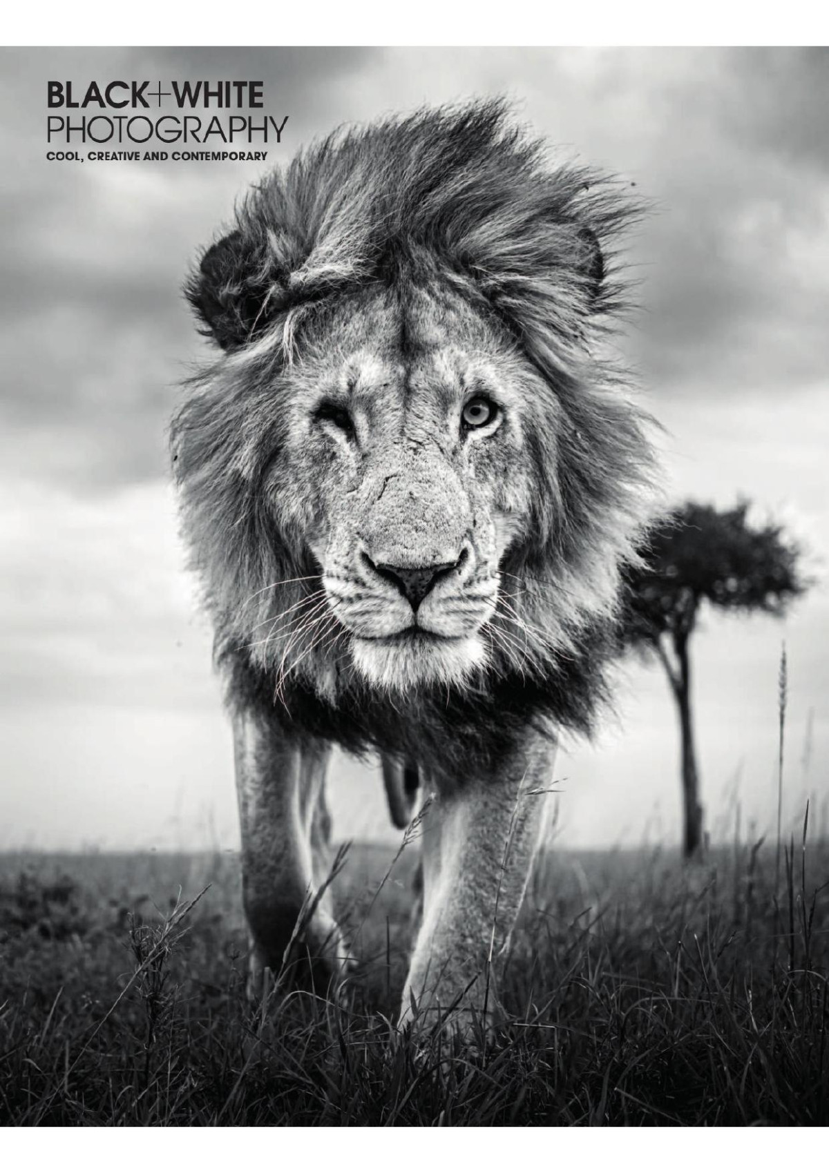 Black White Photography Issue 252 May 2021 Mark Bentley Editor In Chief