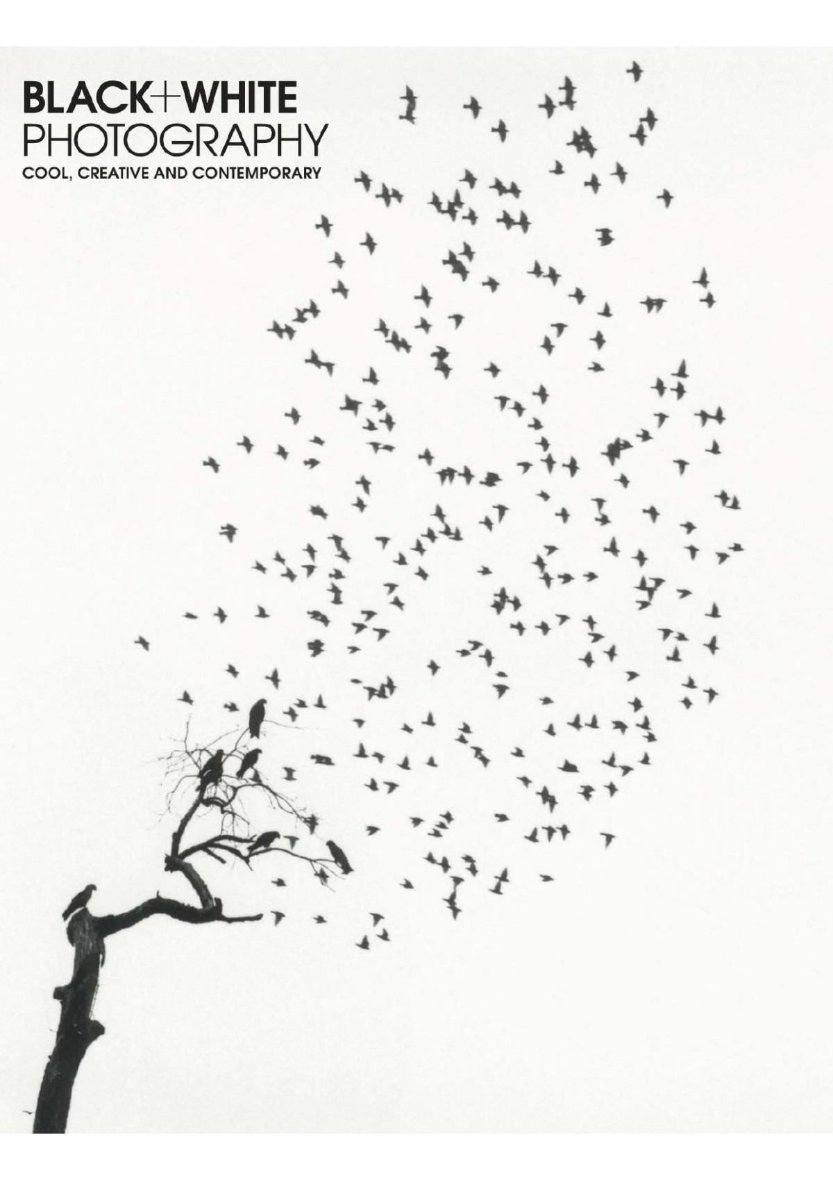 Black White Photography Issue 237 January 2020 Elizabeth Roberts Editor In Chief
