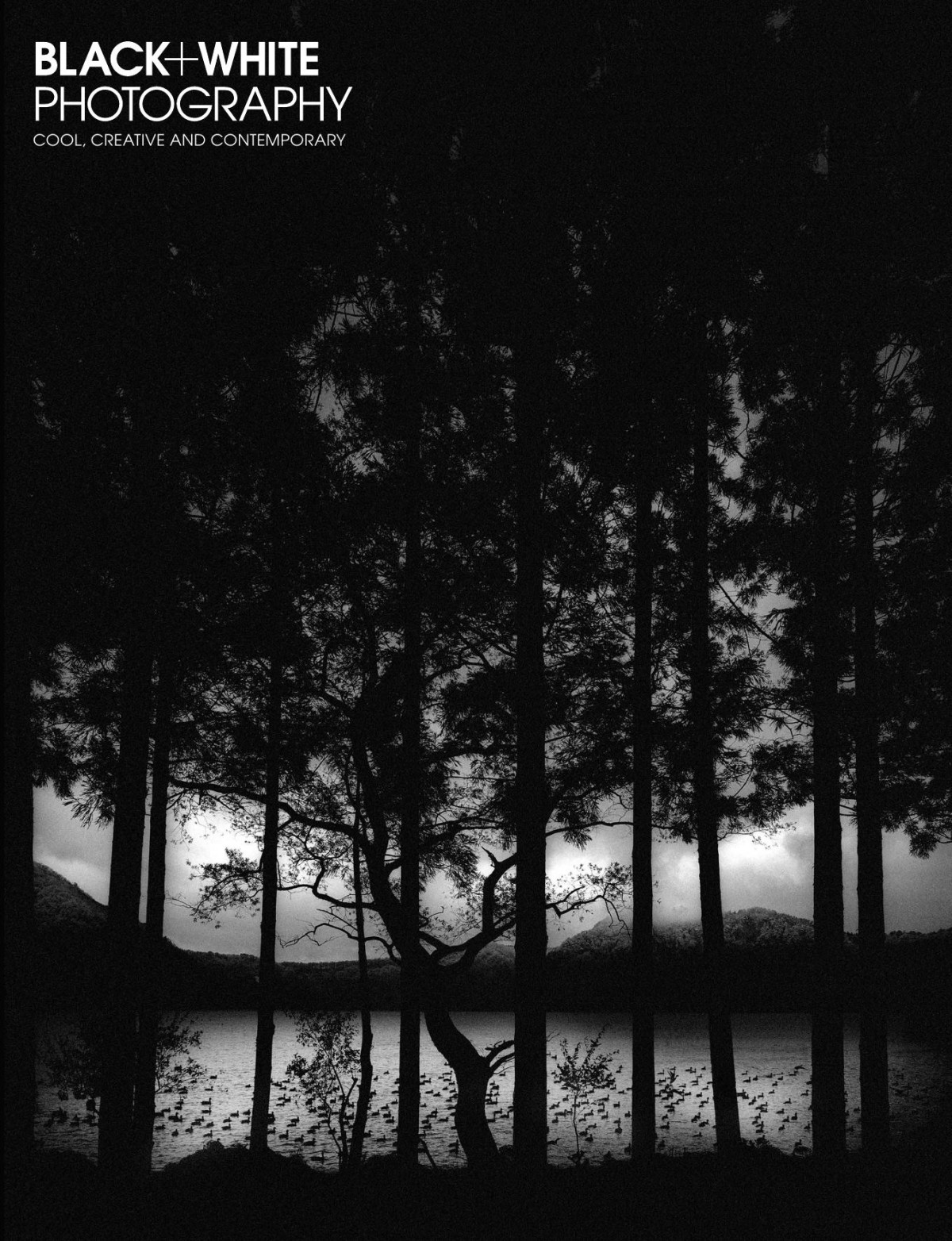 Black White Photography Issue 198 January 2017 Elizabeth Roberts Editor In Chief