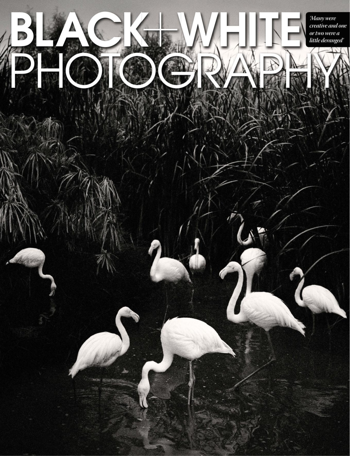 Black White Photography Issue 148 March 2013 Elizabeth Roberts Editor In Chief