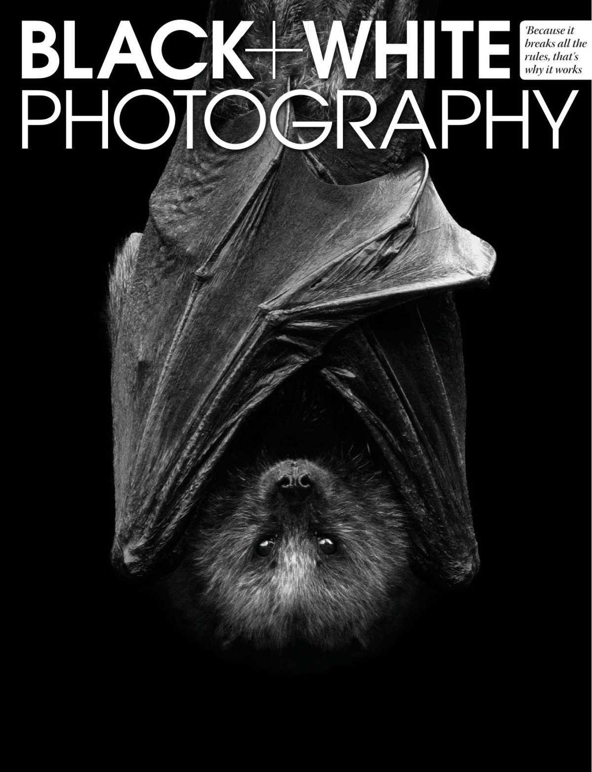 Black White Photography Issue 149 April 2013 Elizabeth Roberts Editor In Chief
