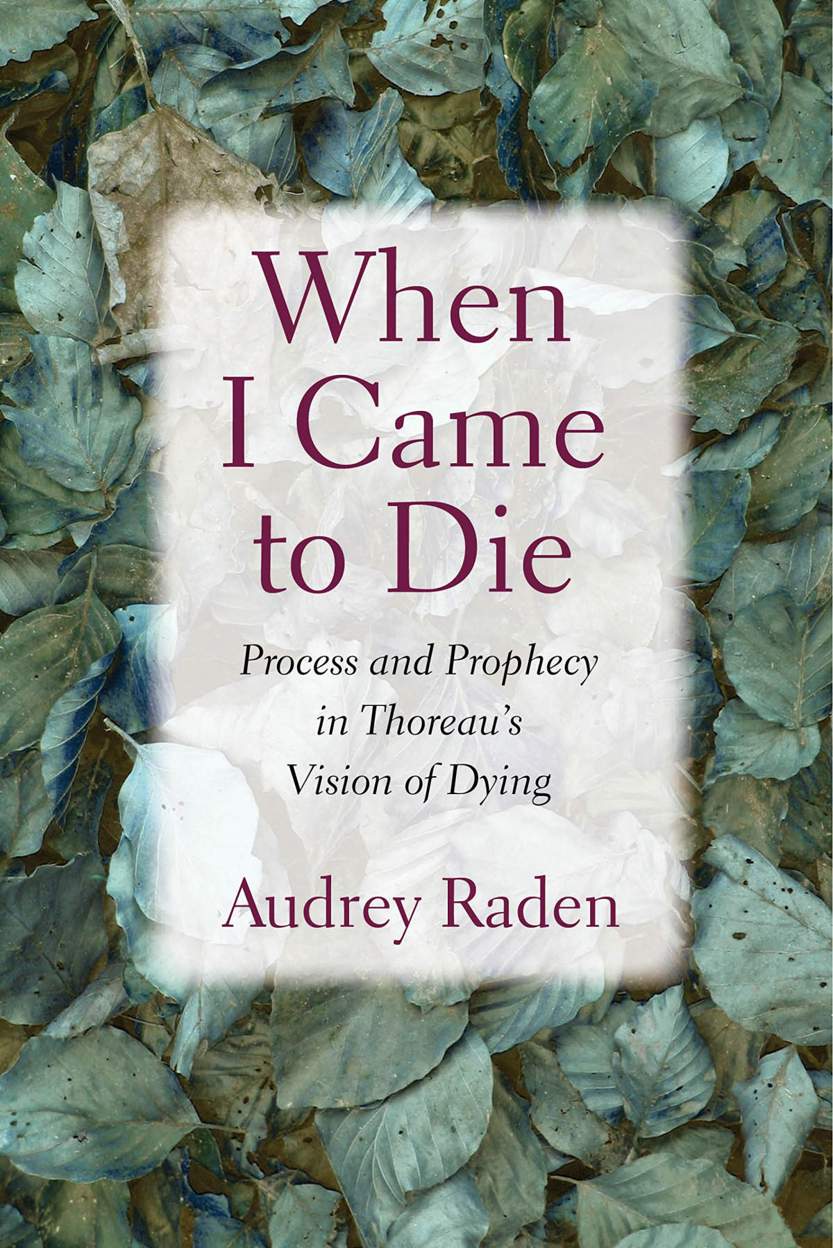 When I Came To Die Process And Prophecy In Thoreaus Vision Of Dying Reprint Audrey Raden