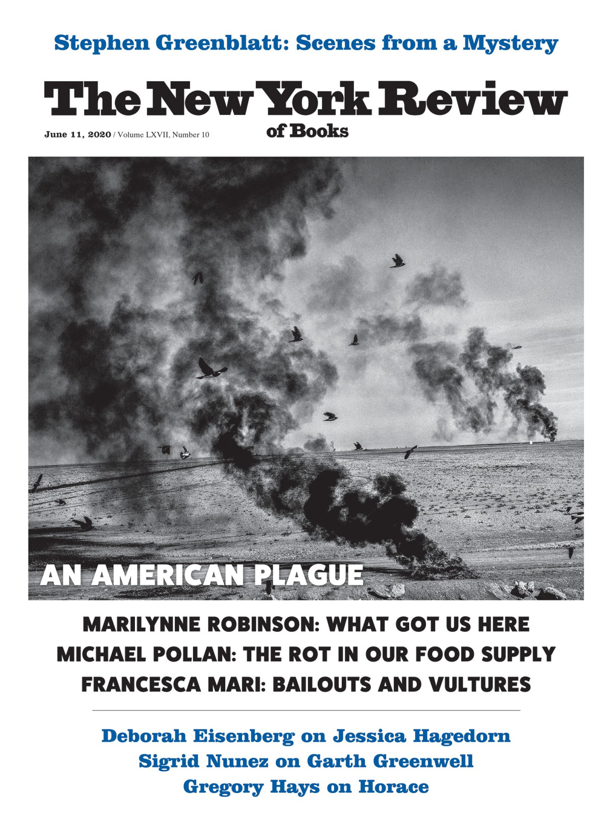 The New York Review Of Books Vol Lxvii 10 11th June 2020 Emily Greenhouse Editor In Chief