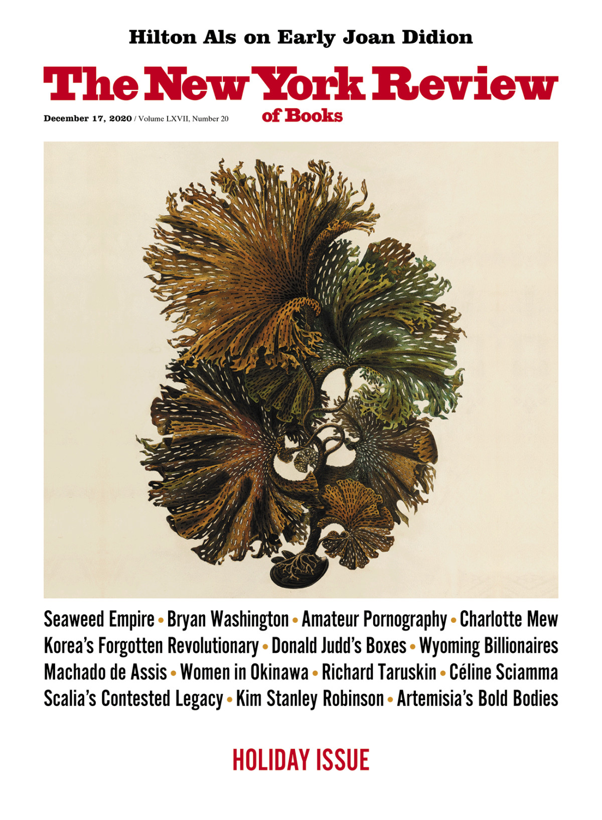 The New York Review Of Books Vol Lxvii 20 17th December 2020 Emily Greenhouse Editor In Chief