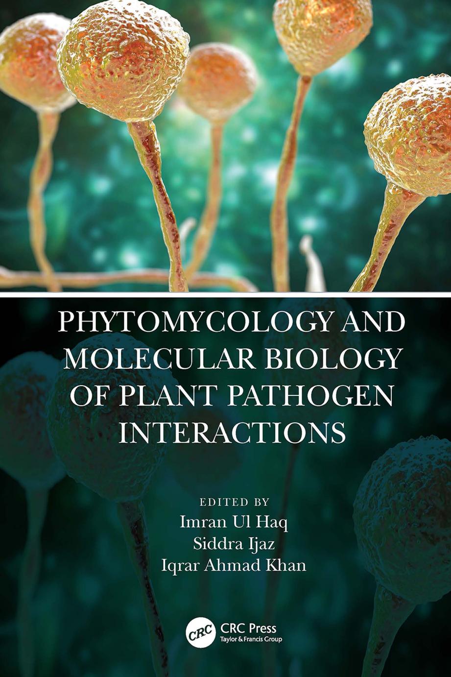 Phytomycology And Molecular Biology Of Plant Pathogen Interactions Imran Ul Haq