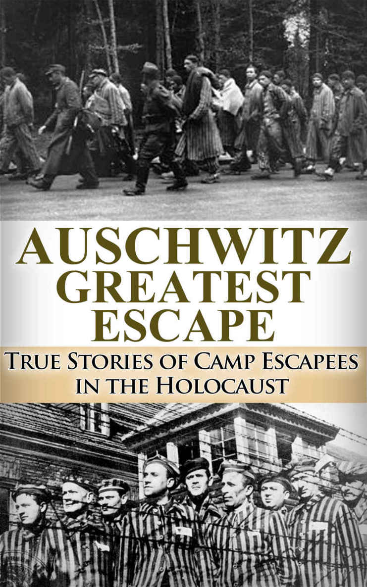 Auschwitz Greatest Escape True Stories Of Camp Escapees In The Holocaust Ryan Jenkins