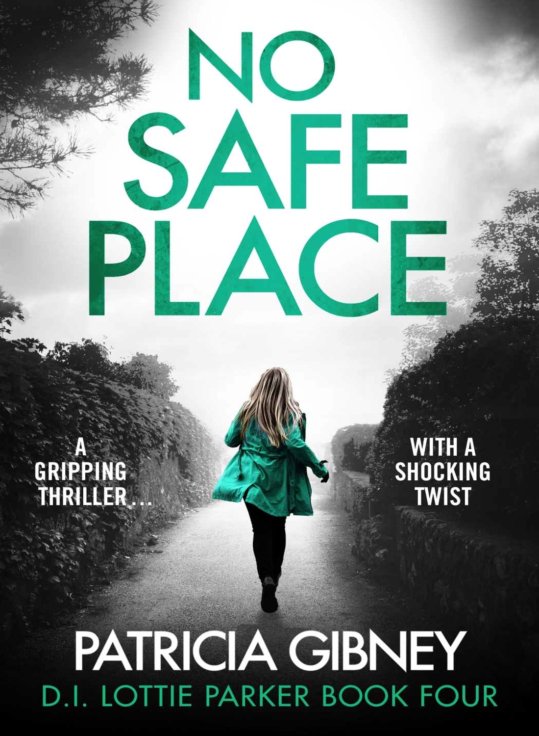 No Safe Place Detective Lottie Parker Book 4 Patricia Gibney