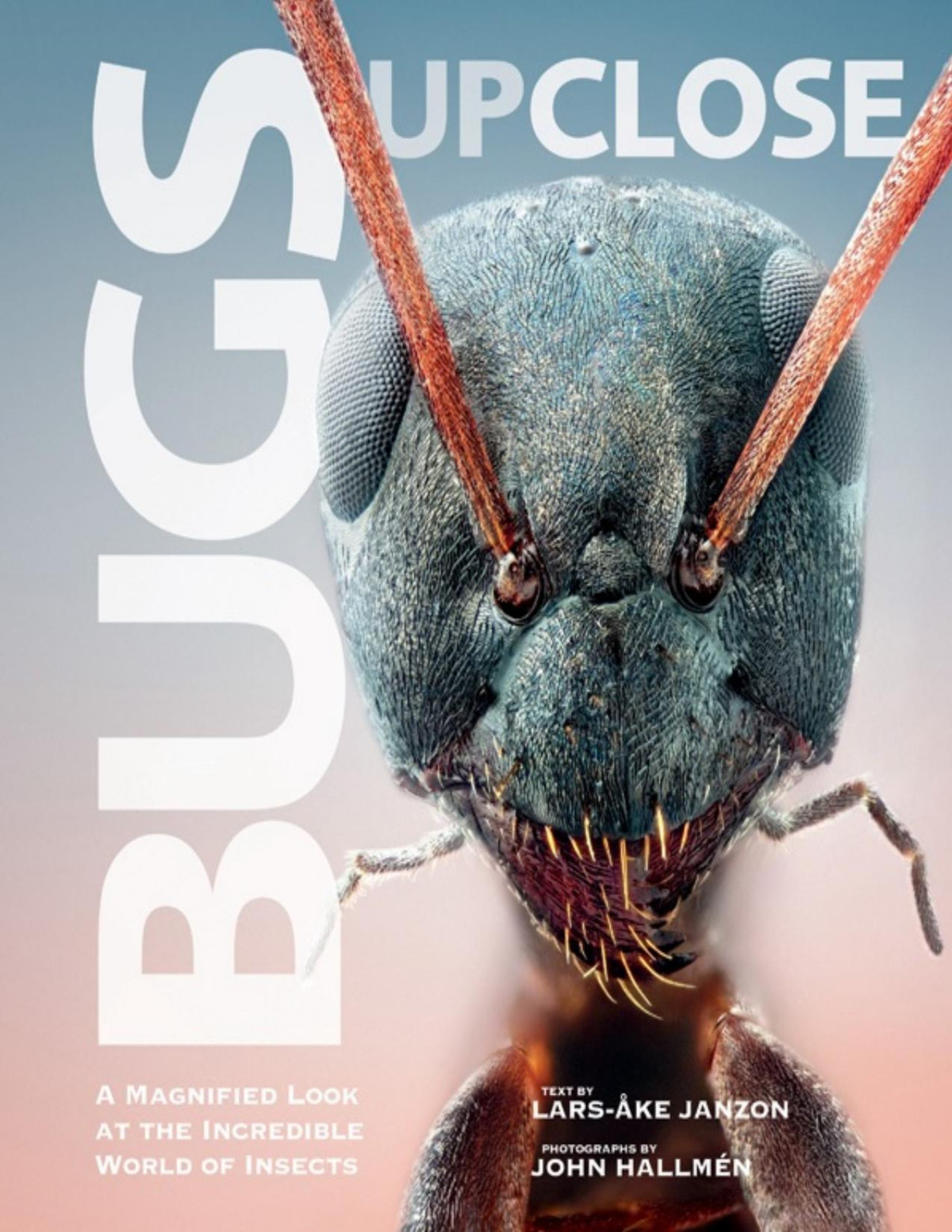 Bugs Up Close A Magnified Look At The Incredible World Of Insects Larske Janzon