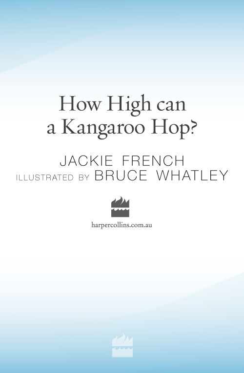 How High Can A Kangaroo Hop French Jackie