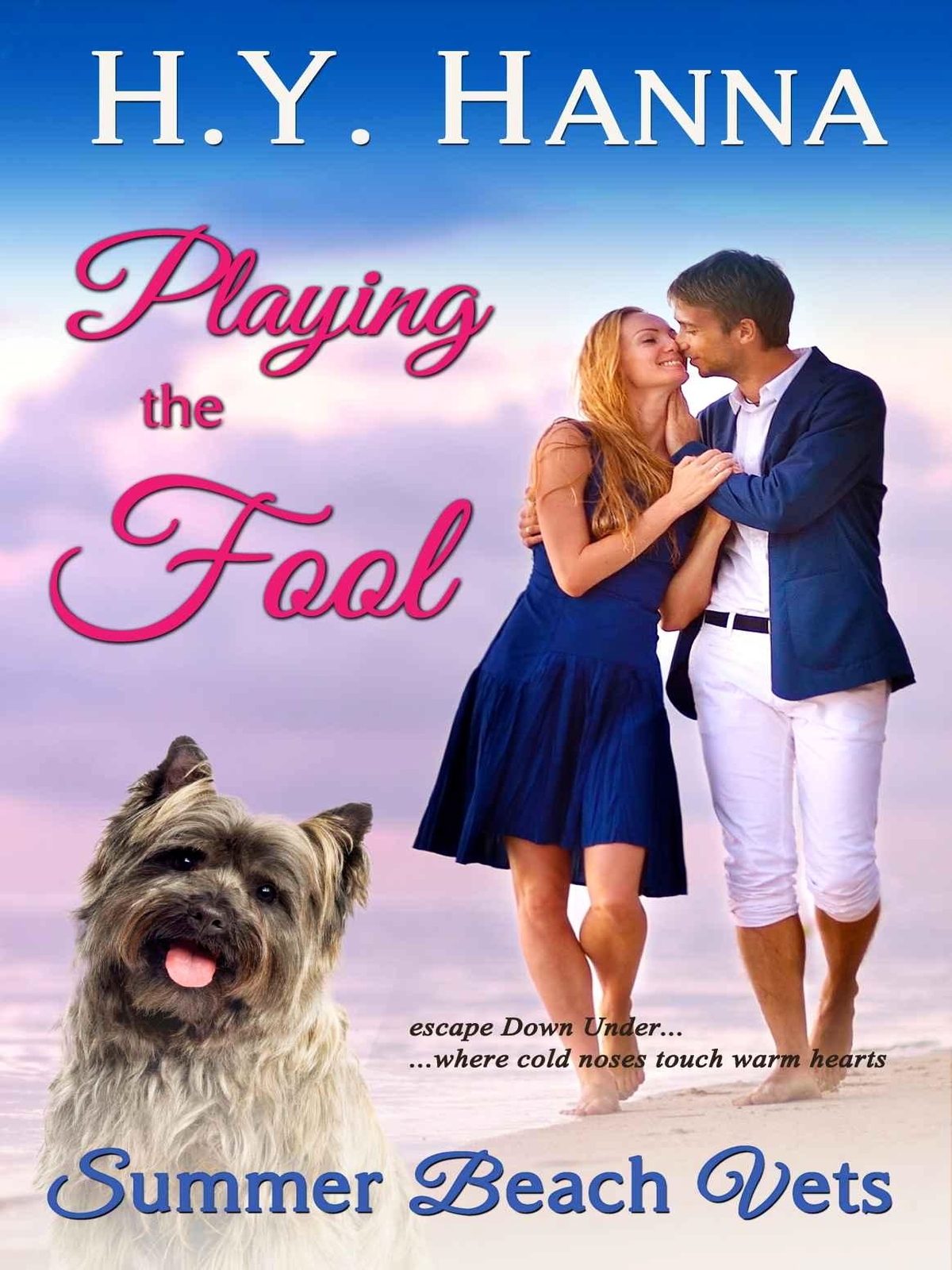 Summer Beach Vets 04playing The Fool H Y Hanna