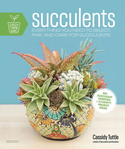Succulents Everything You Need To Select Pair And Care For Succulents Cassidy Tuttle