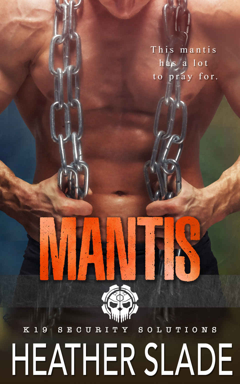 Mantis K19 Security Solutions Book 4 Heather Slade