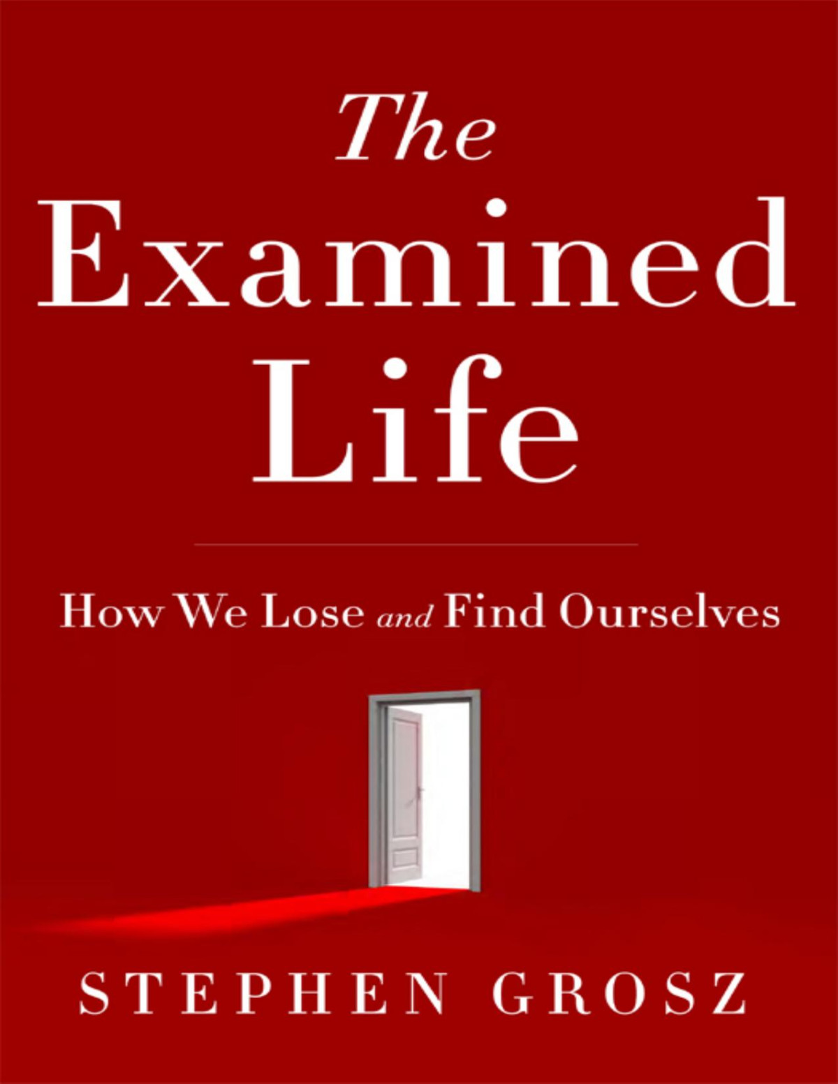 The Examined Life How We Lose And Find Ourselves Stephen Grosz