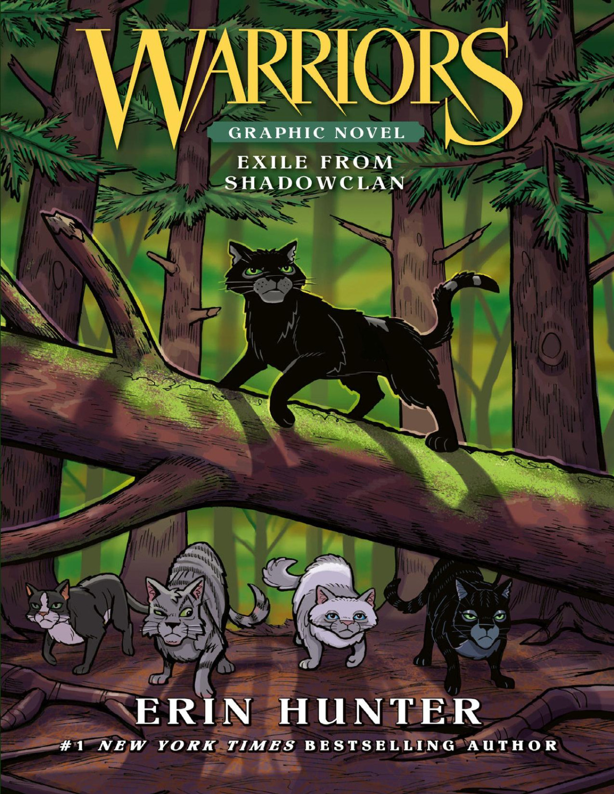 Warriors Exile From Shadowclan 1st Edition Erin Hunter Dan Jolley