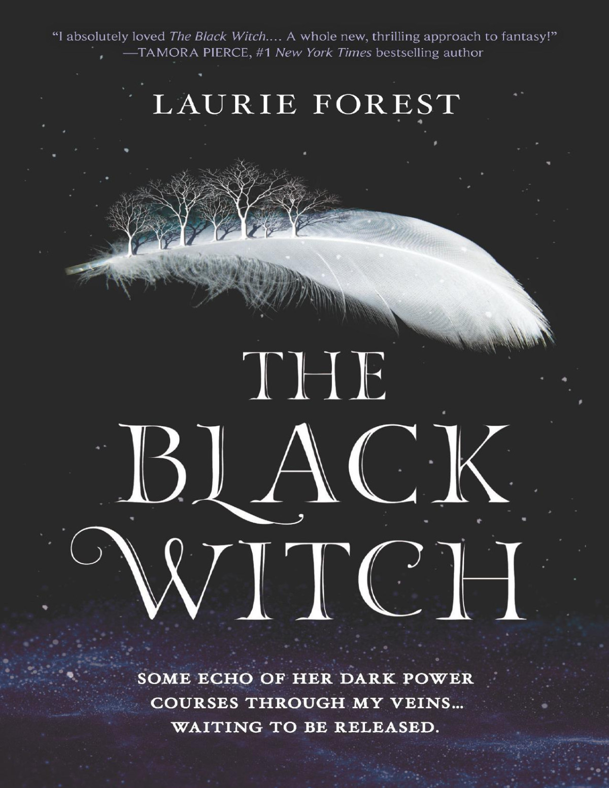 The Black Witch Laurie Forest