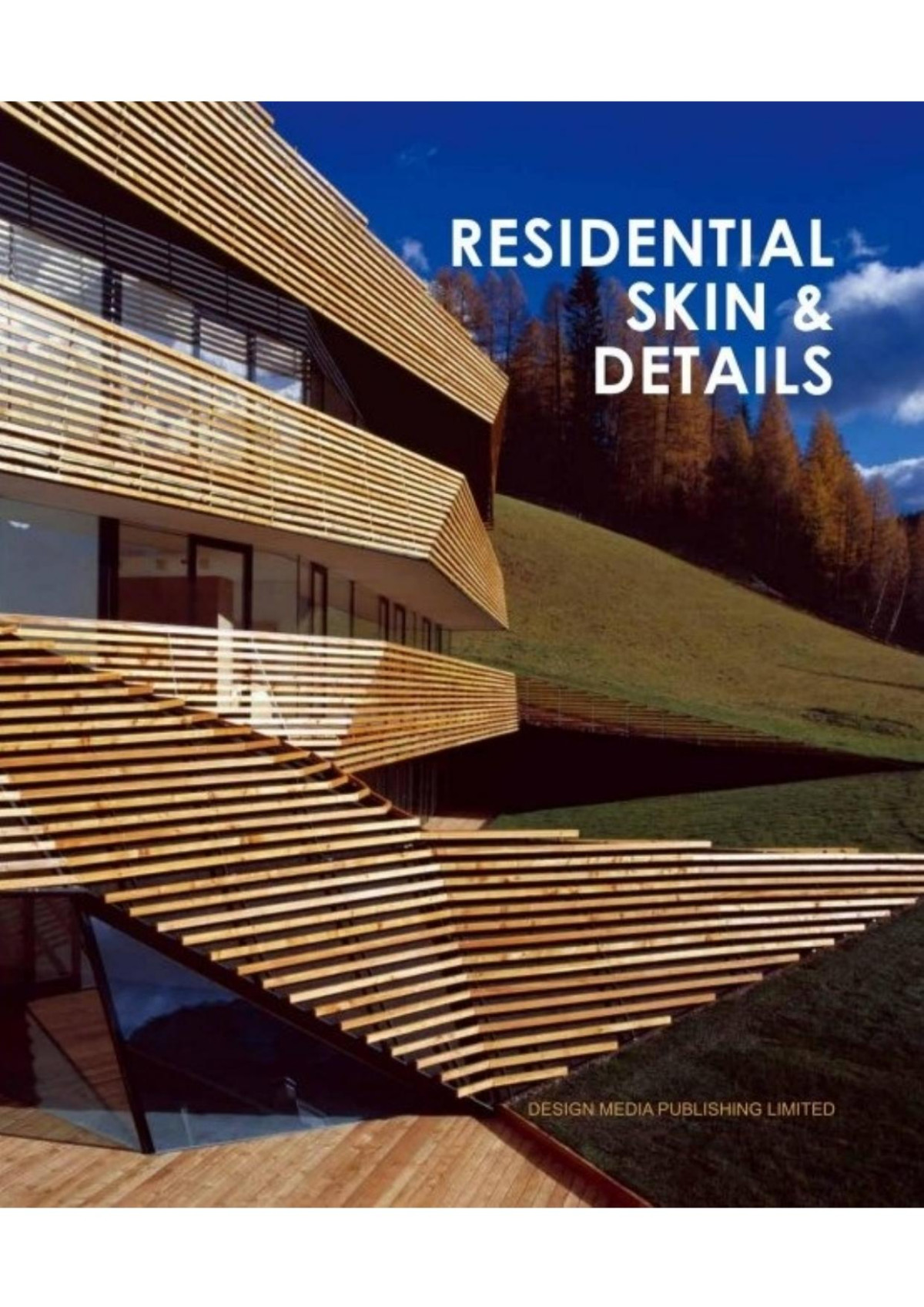 Residential Skin Details Helen Liu